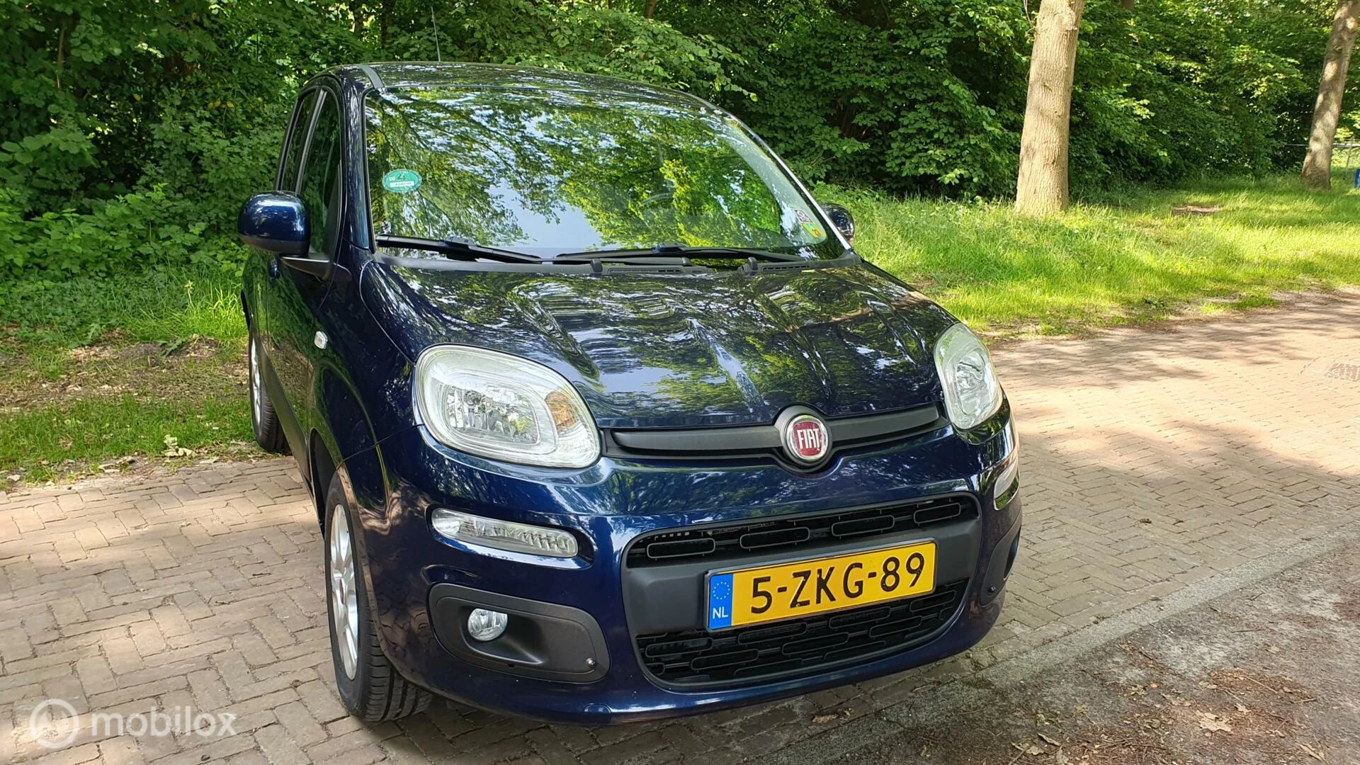 Hoofdafbeelding Fiat Panda