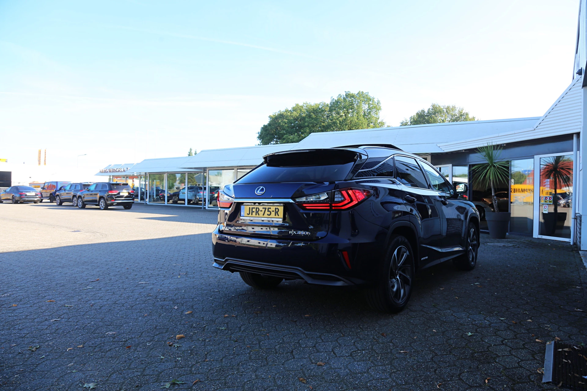 Hoofdafbeelding Lexus RX