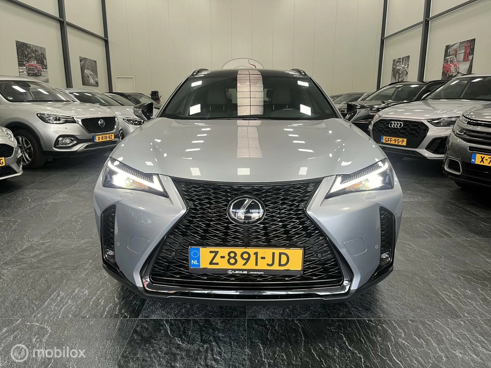 Hoofdafbeelding Lexus UX