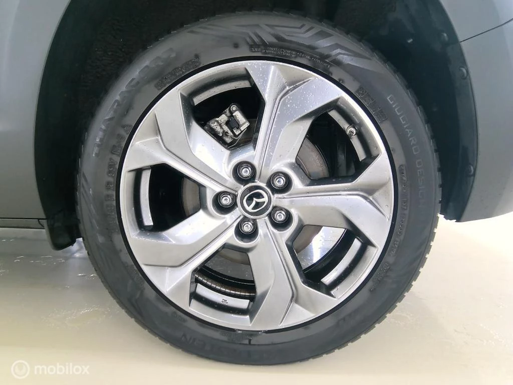 Hoofdafbeelding Mazda MX-30