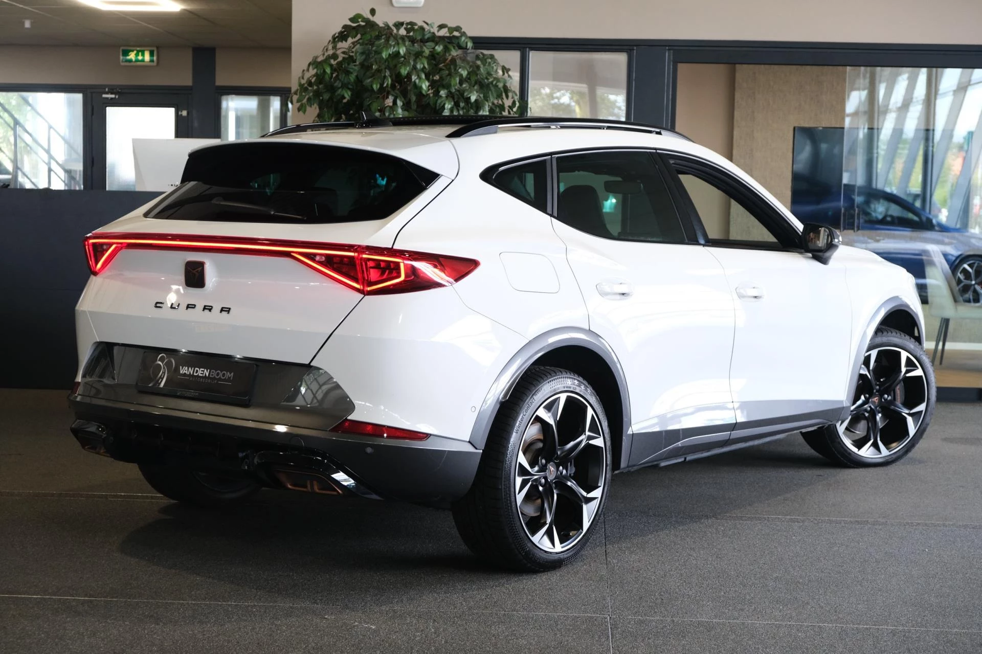 Hoofdafbeelding CUPRA Formentor