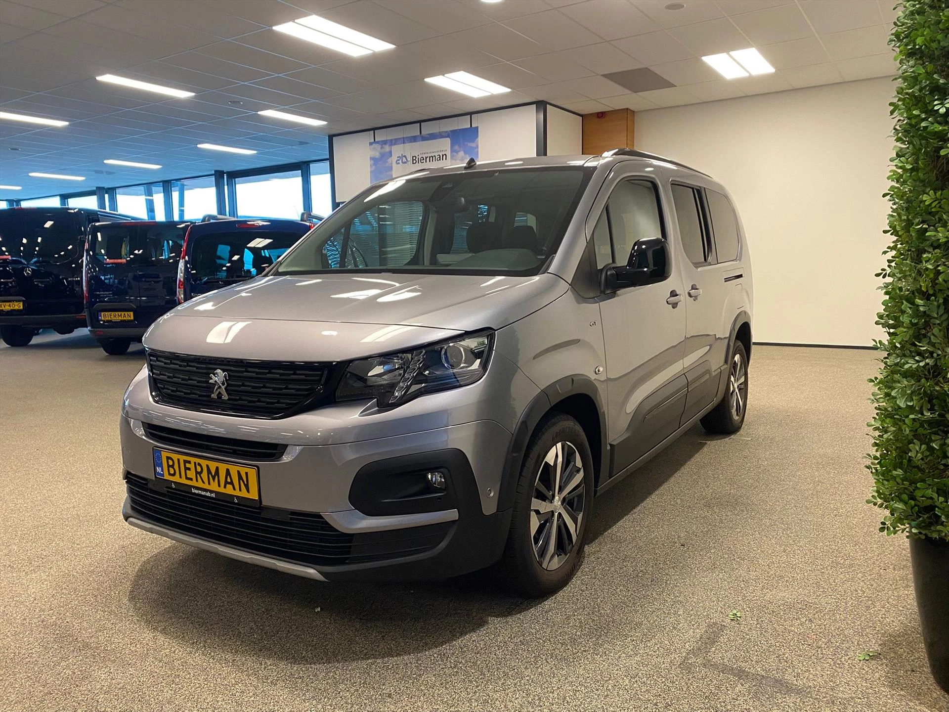 Hoofdafbeelding Peugeot e-Rifter