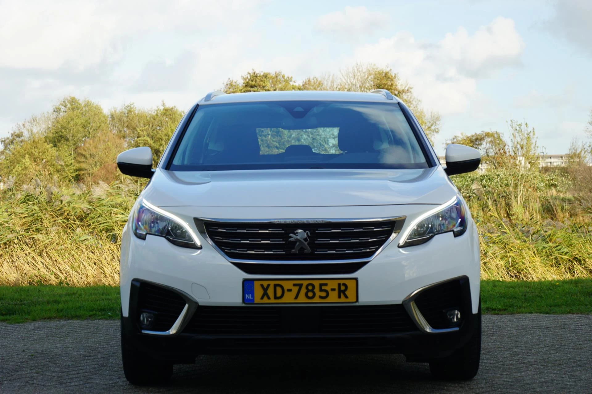 Hoofdafbeelding Peugeot 5008