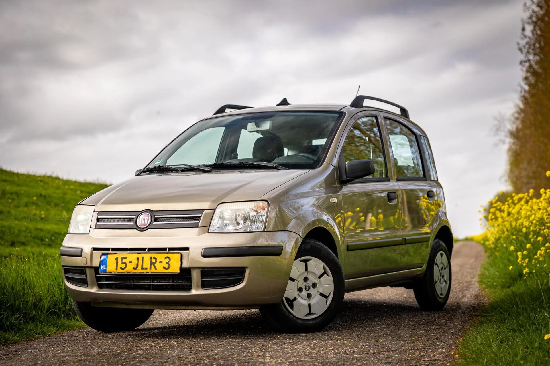 Hoofdafbeelding Fiat Panda