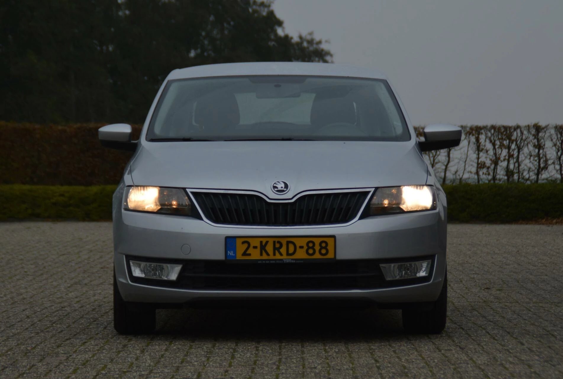 Hoofdafbeelding Škoda Rapid