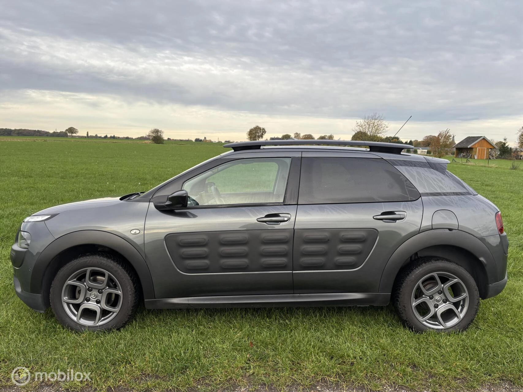Hoofdafbeelding Citroën C4 Cactus