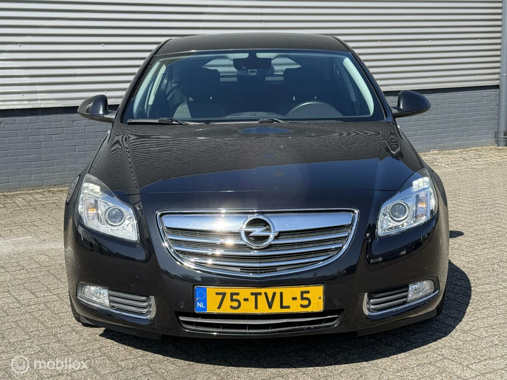Hoofdafbeelding Opel Insignia