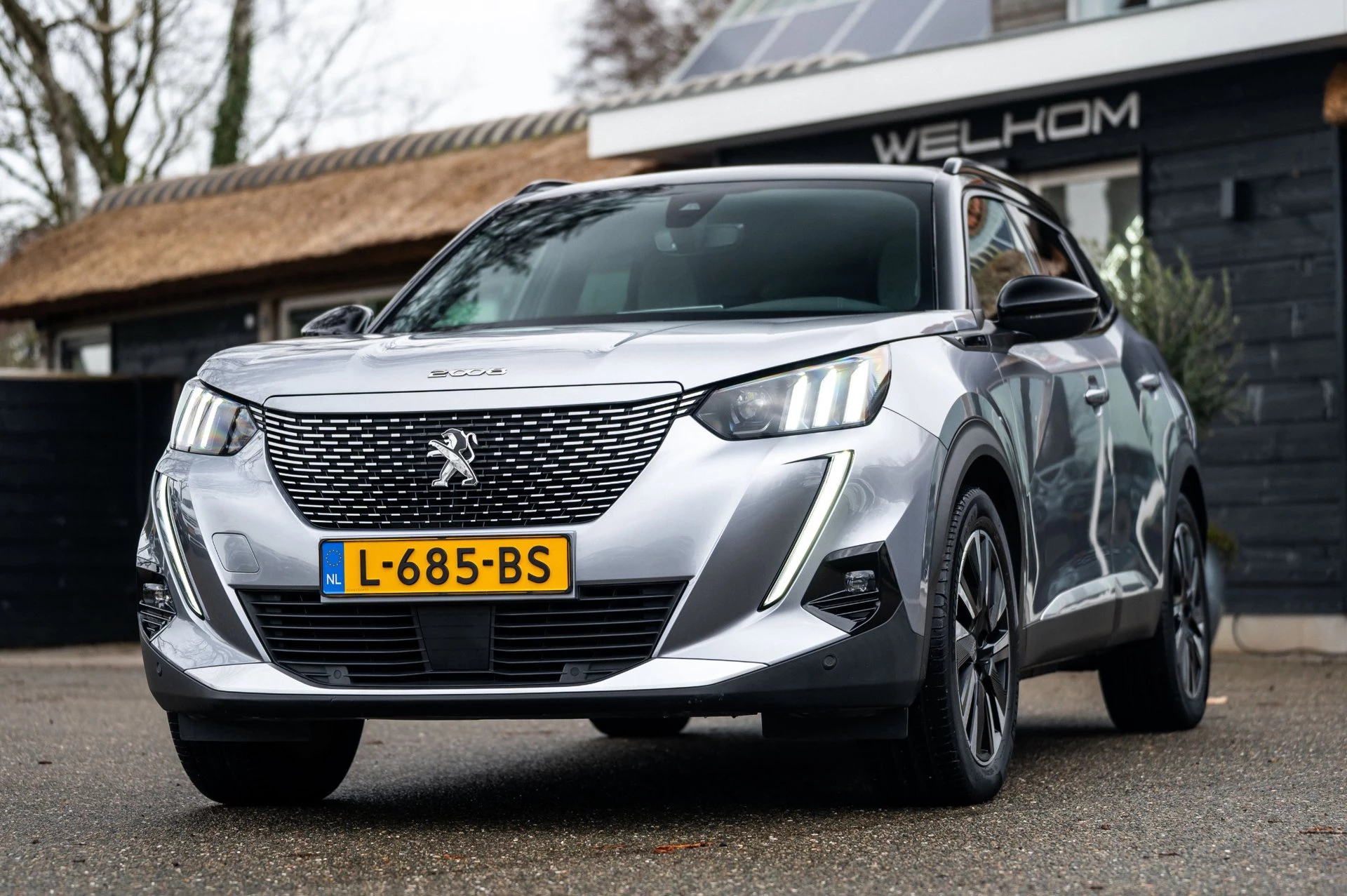 Hoofdafbeelding Peugeot e-2008