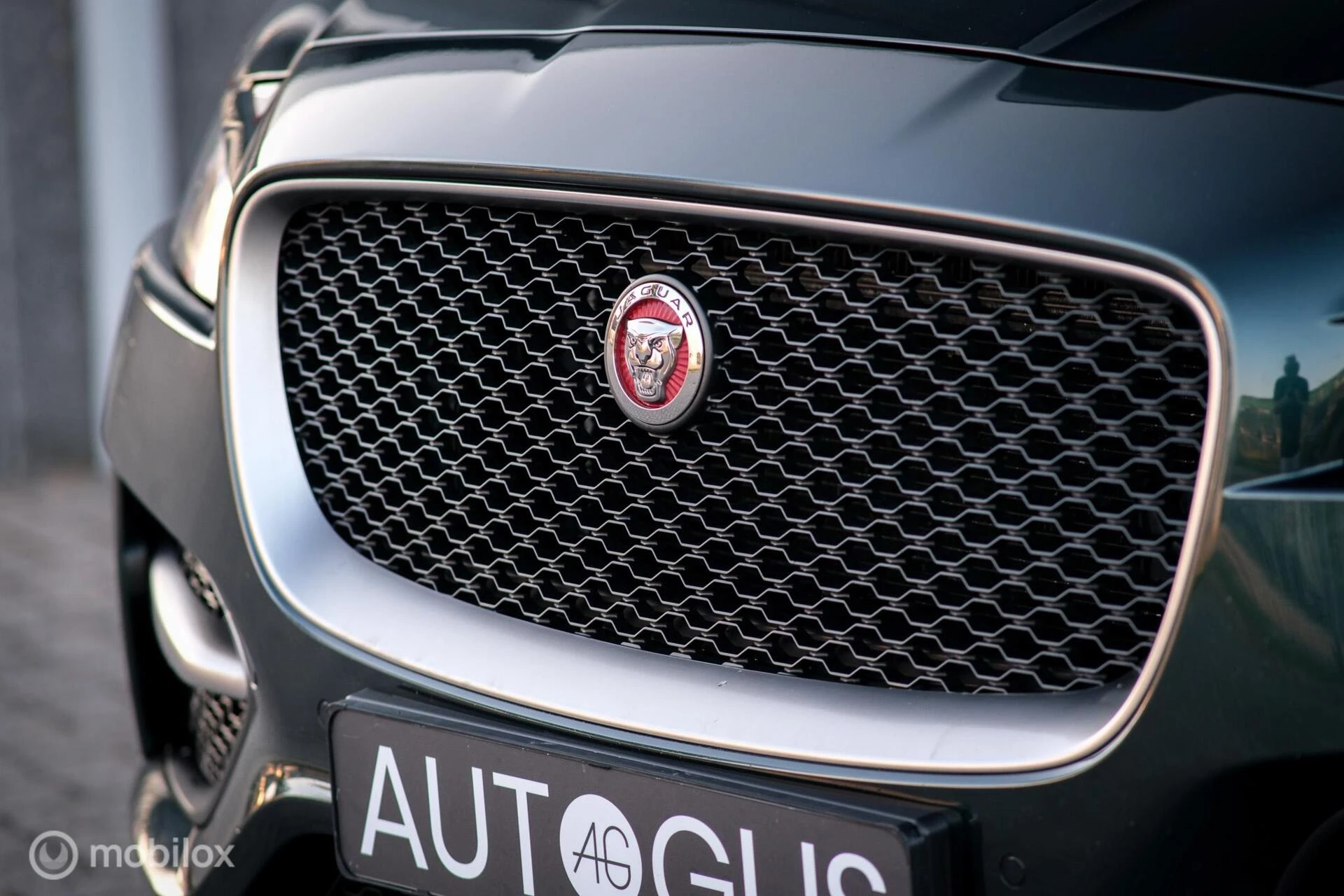 Hoofdafbeelding Jaguar F-PACE