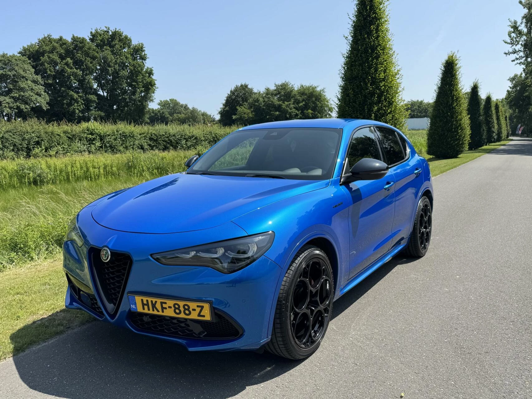 Hoofdafbeelding Alfa Romeo Stelvio