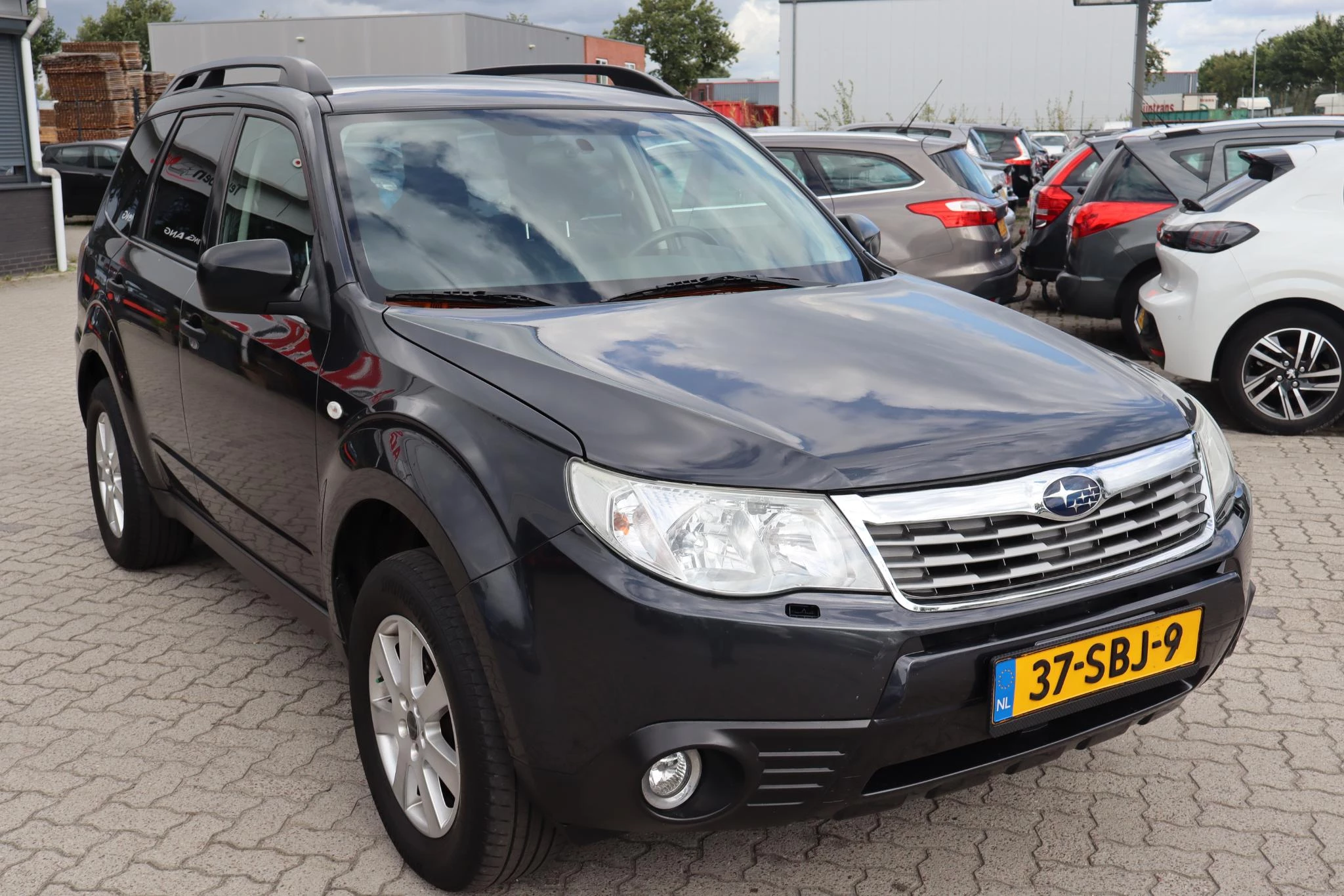 Hoofdafbeelding Subaru Forester