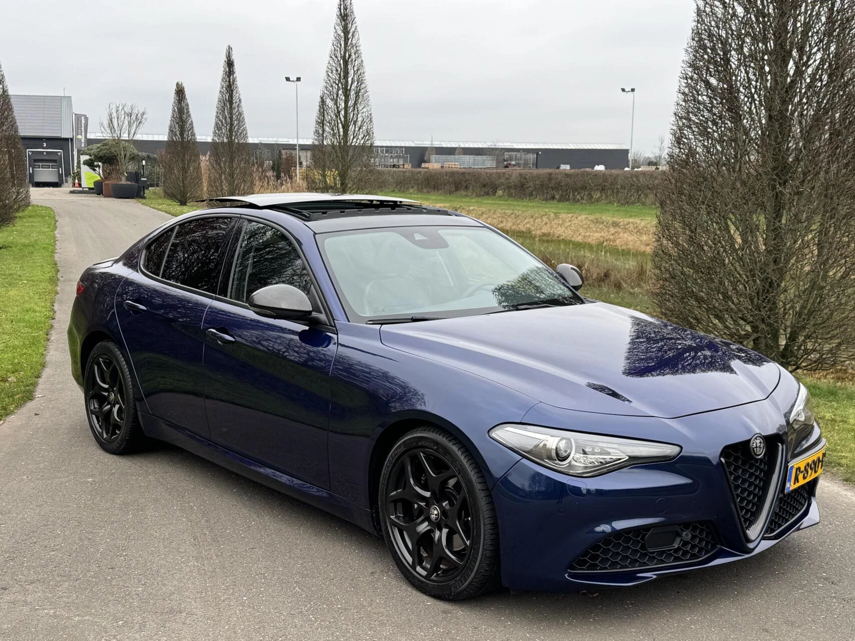 Hoofdafbeelding Alfa Romeo Giulia