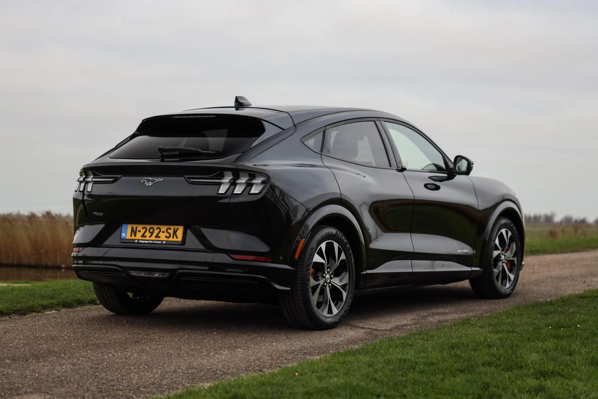 Hoofdafbeelding Ford Mustang Mach-E