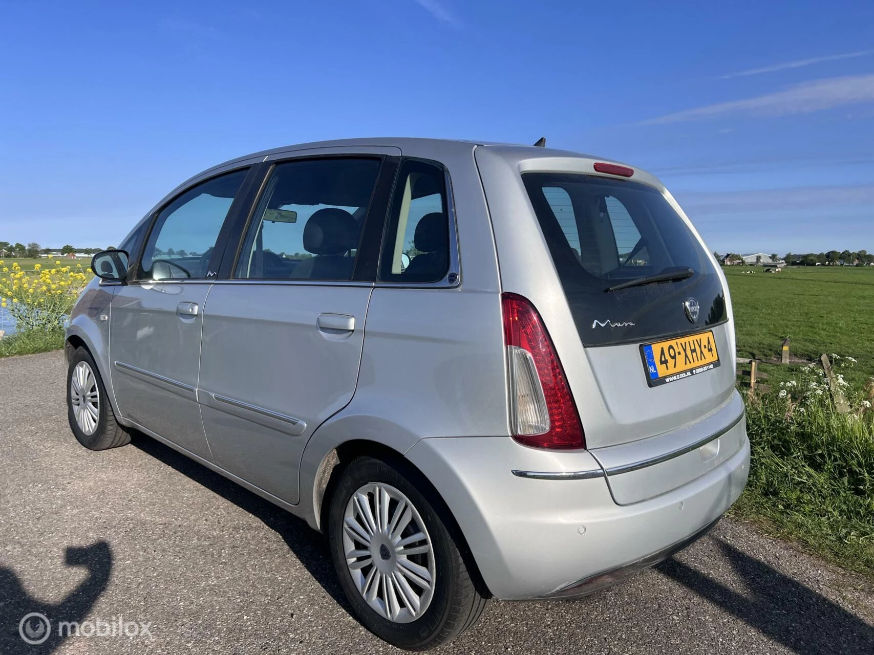 Hoofdafbeelding Lancia Musa