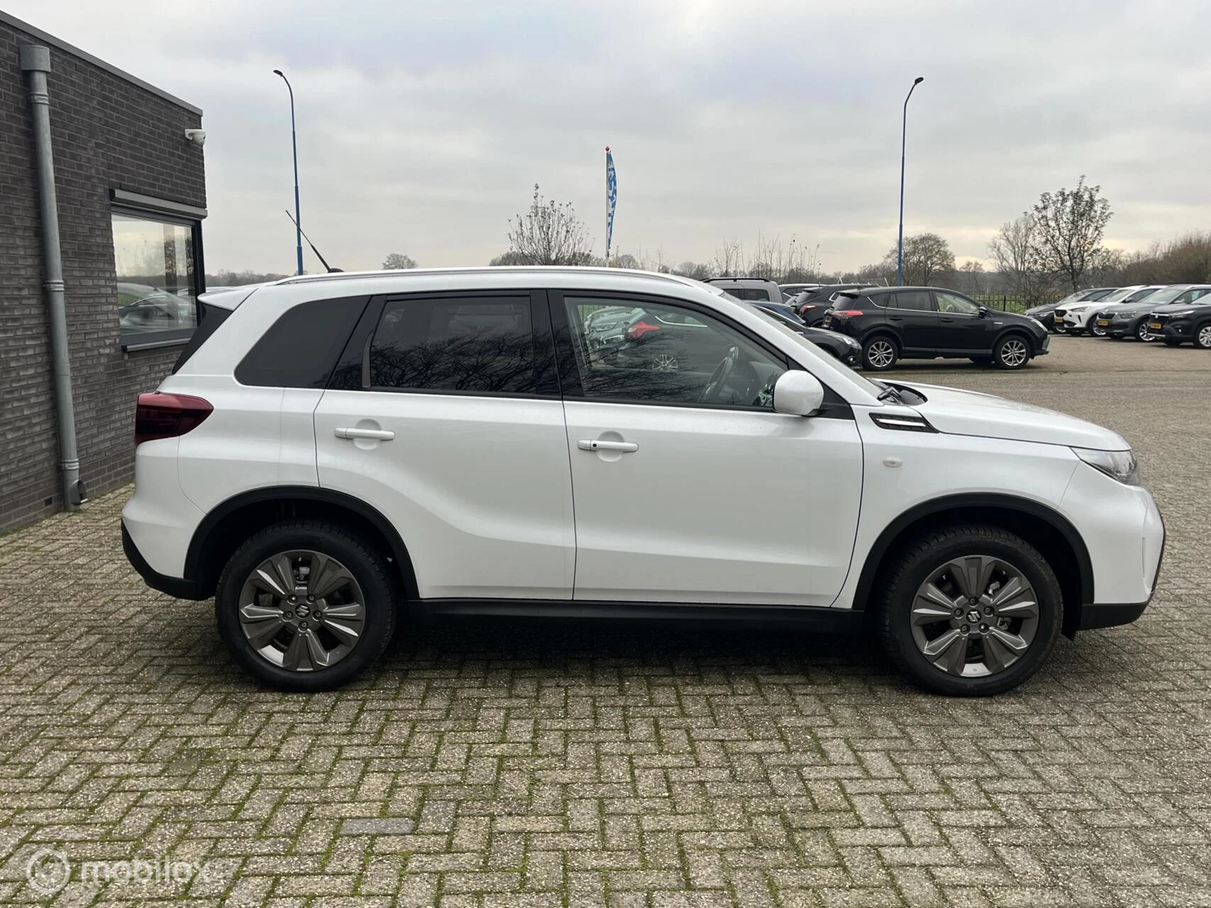 Hoofdafbeelding Suzuki Vitara