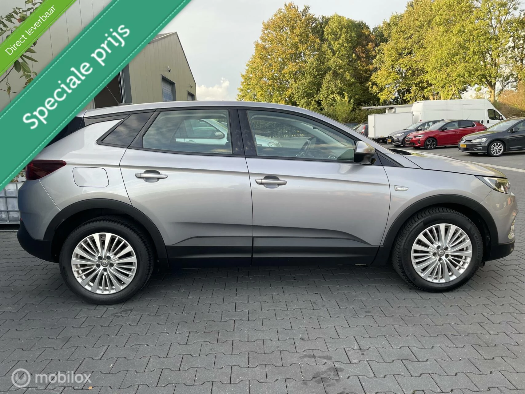 Hoofdafbeelding Opel Grandland X