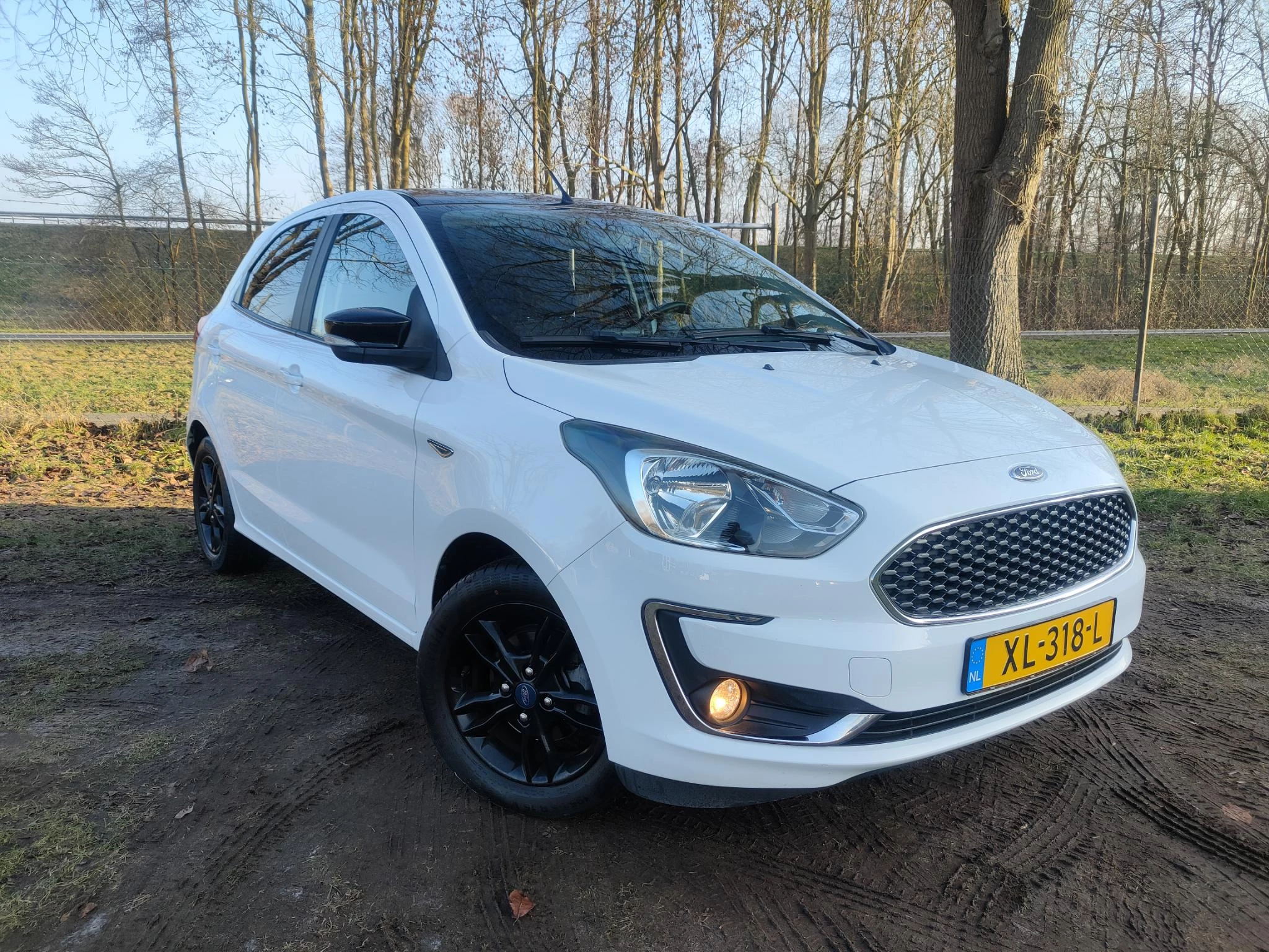 Hoofdafbeelding Ford Ka
