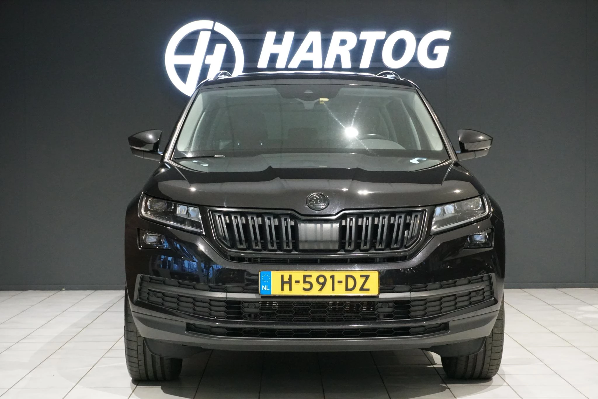 Hoofdafbeelding Škoda Kodiaq