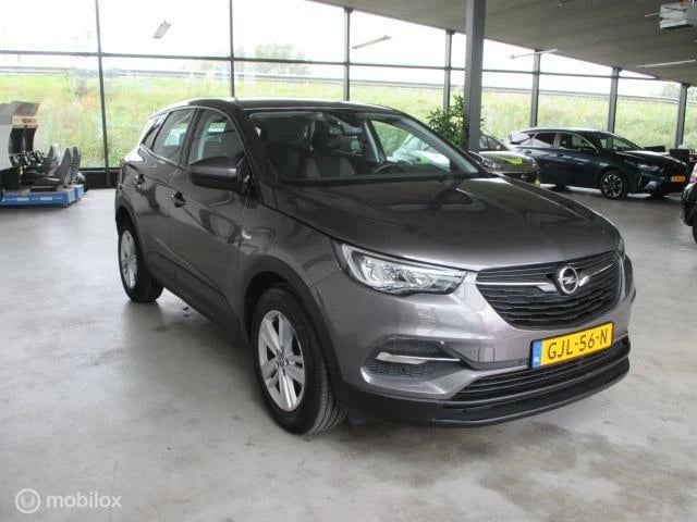 Hoofdafbeelding Opel Grandland X