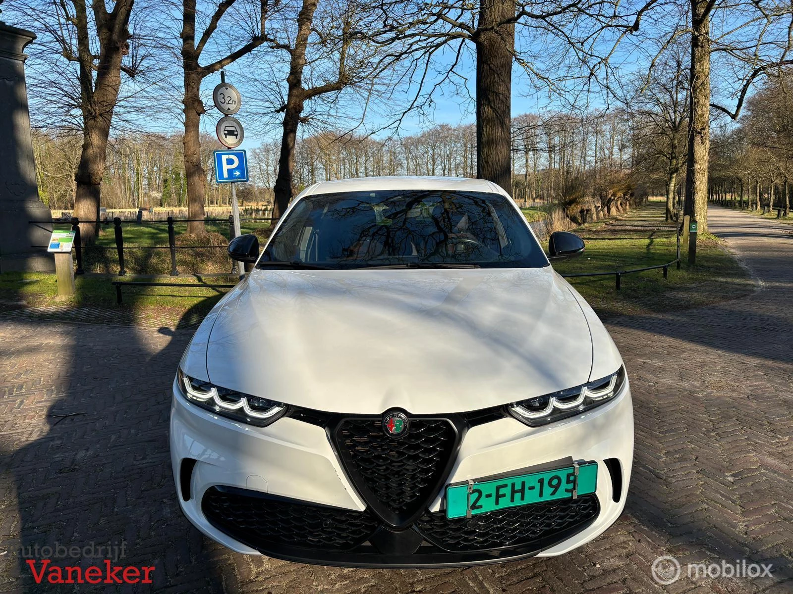 Hoofdafbeelding Alfa Romeo Tonale