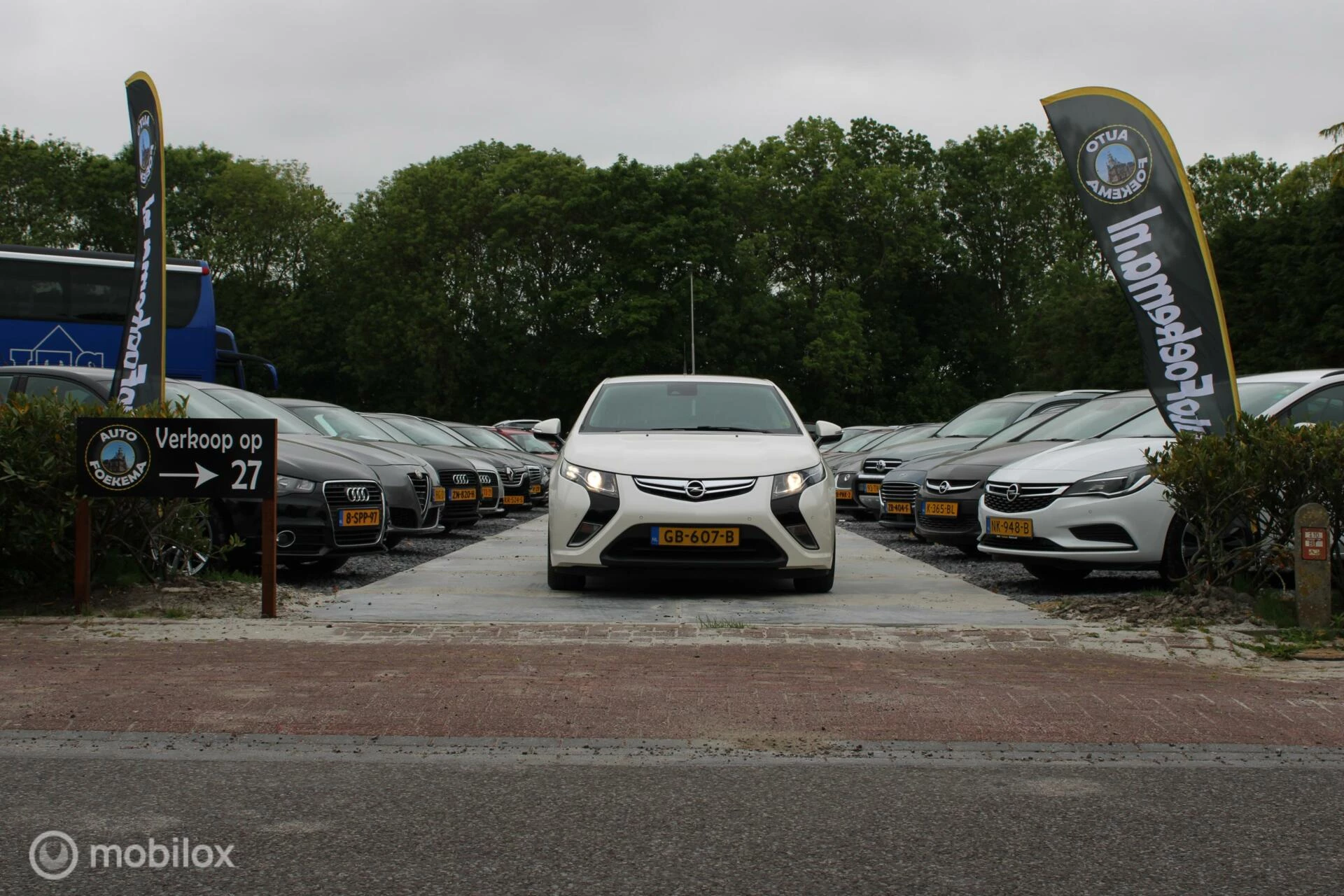 Hoofdafbeelding Opel Ampera