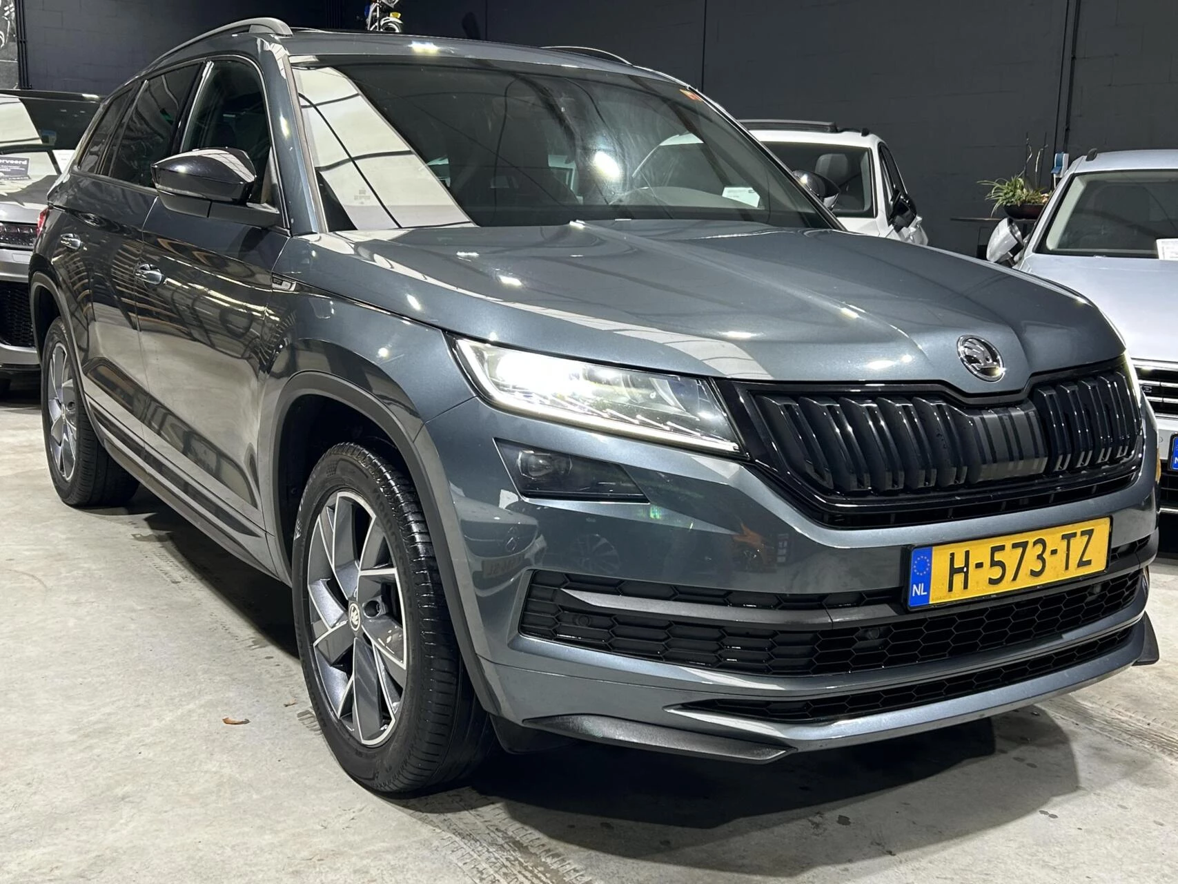 Hoofdafbeelding Škoda Kodiaq