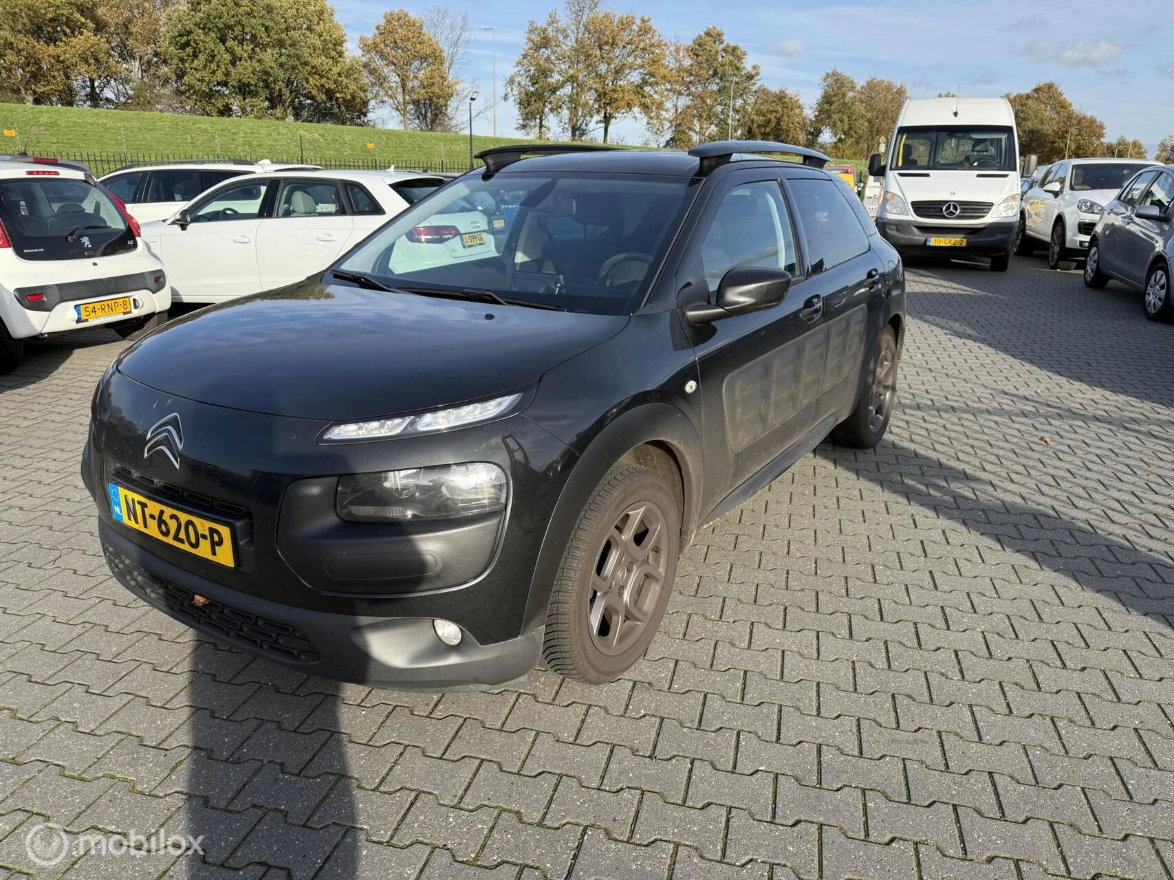 Hoofdafbeelding Citroën C4 Cactus