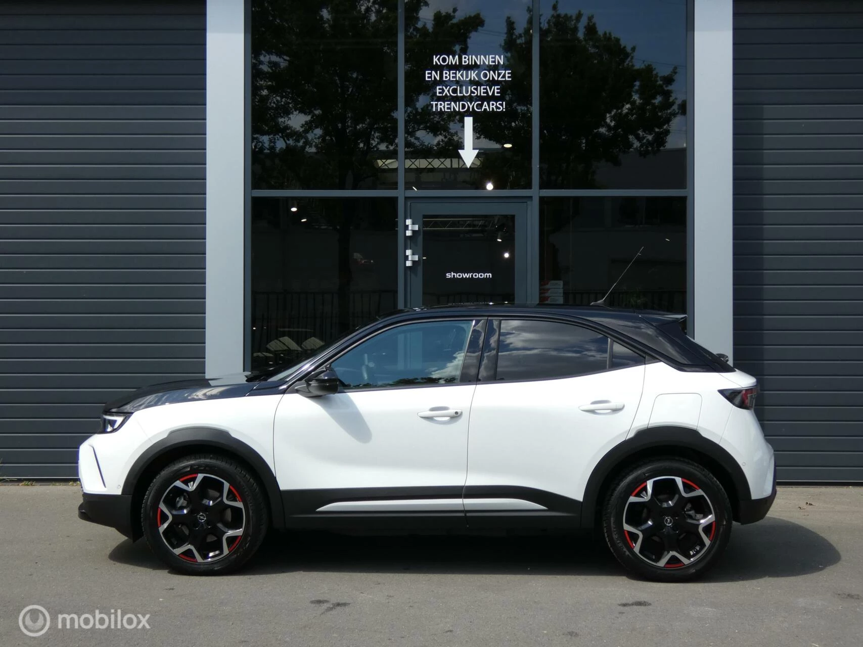 Hoofdafbeelding Opel Mokka-e