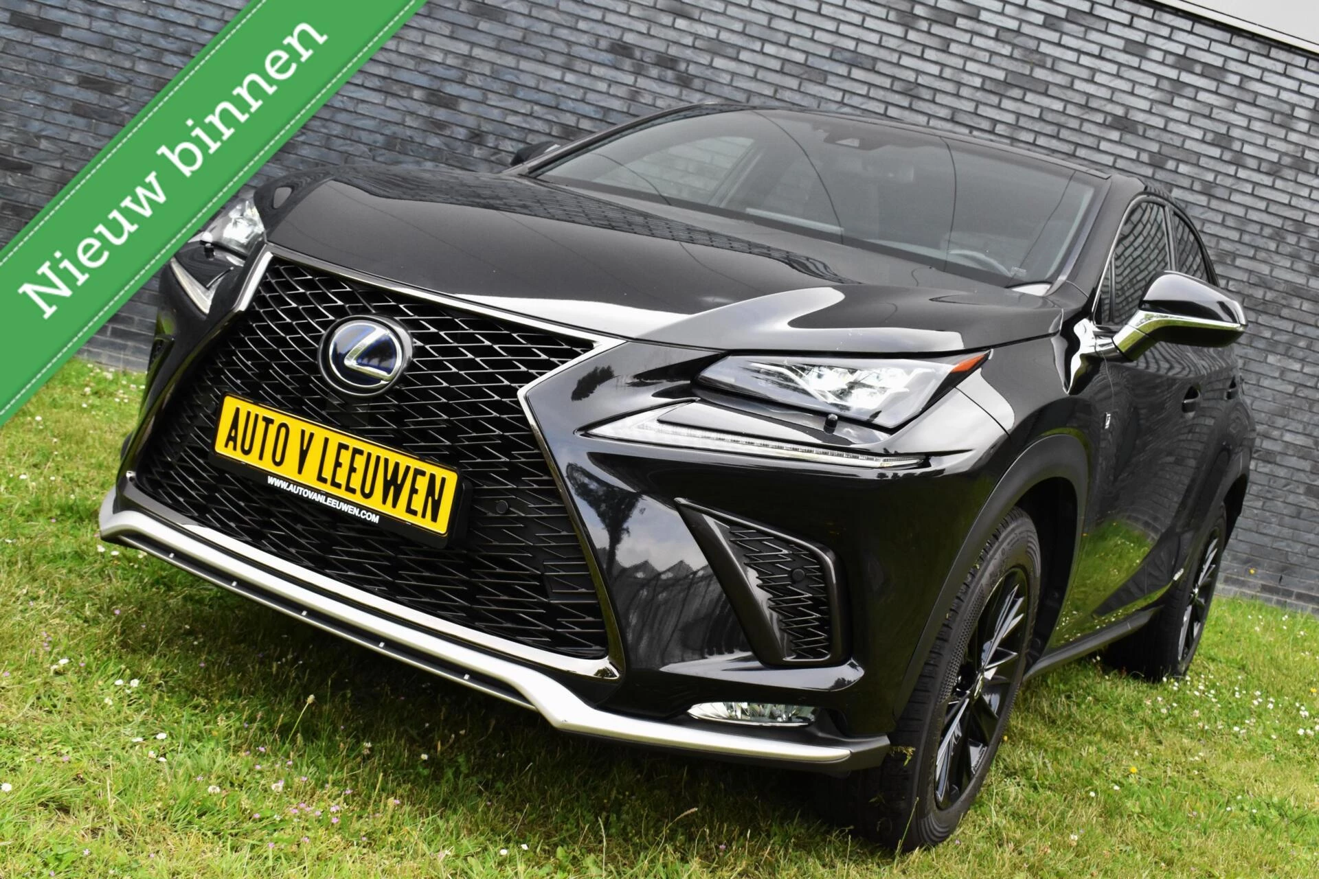 Hoofdafbeelding Lexus NX