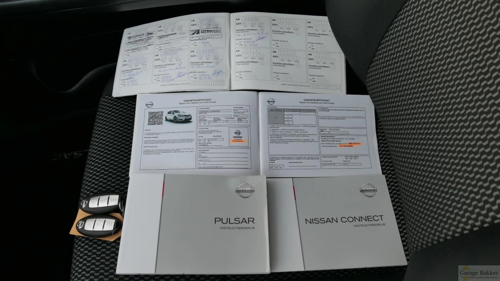 Hoofdafbeelding Nissan Pulsar