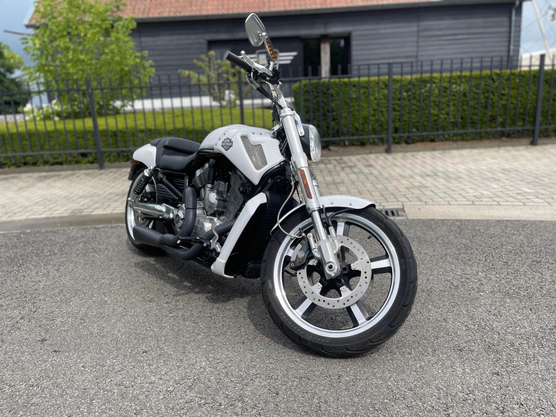 Hoofdafbeelding Harley-Davidson Chopper