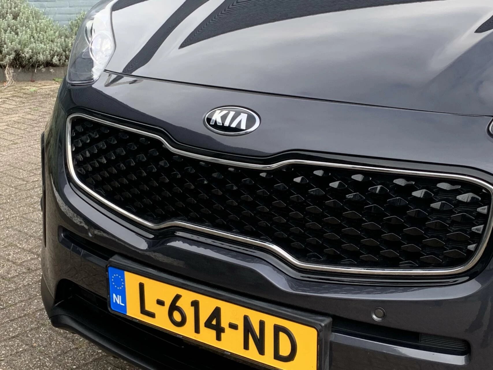 Hoofdafbeelding Kia Sportage