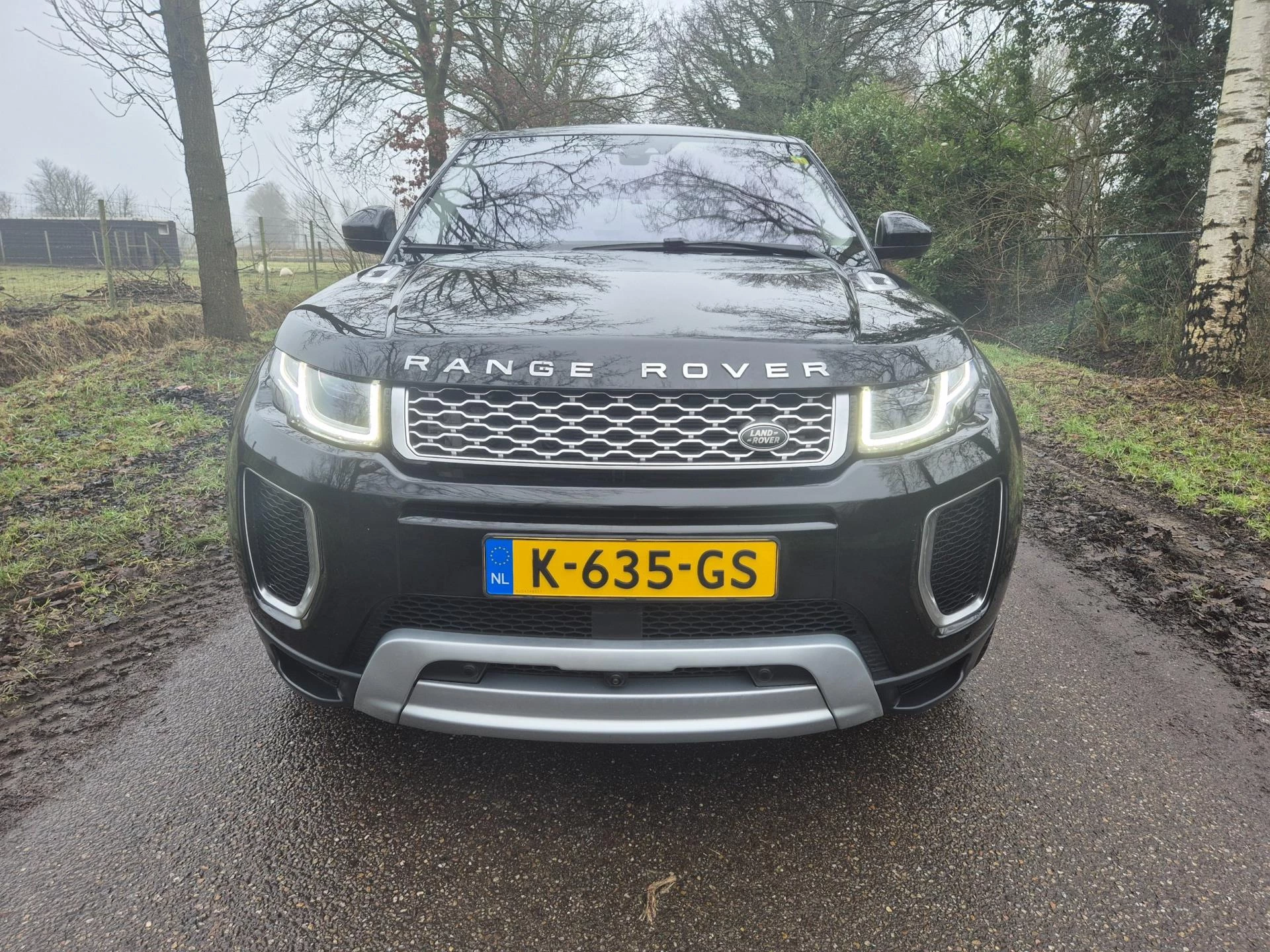 Hoofdafbeelding Land Rover Range Rover Evoque