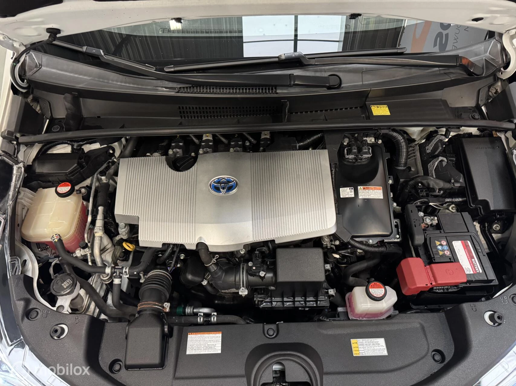 Hoofdafbeelding Toyota Prius