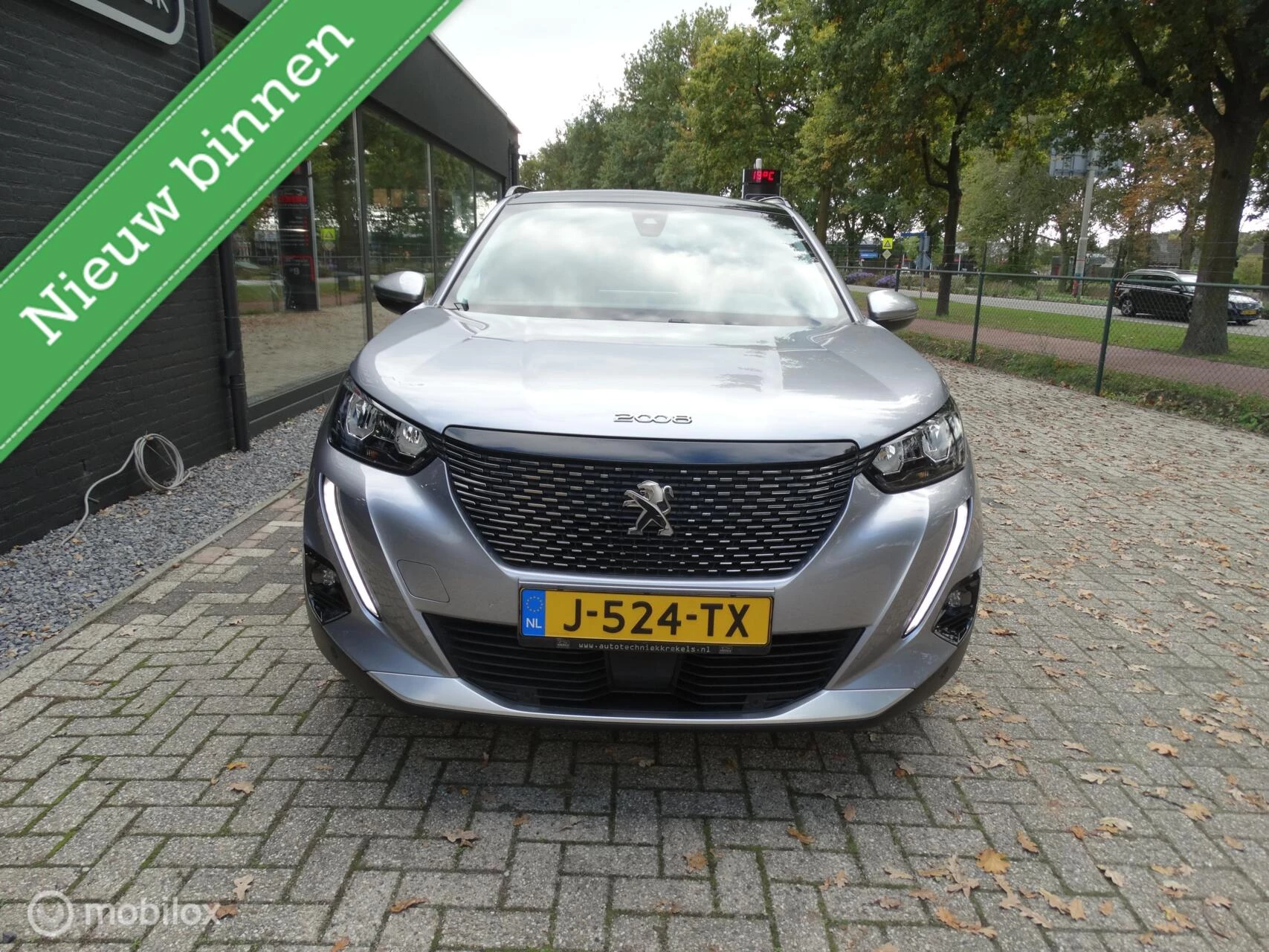 Hoofdafbeelding Peugeot 2008