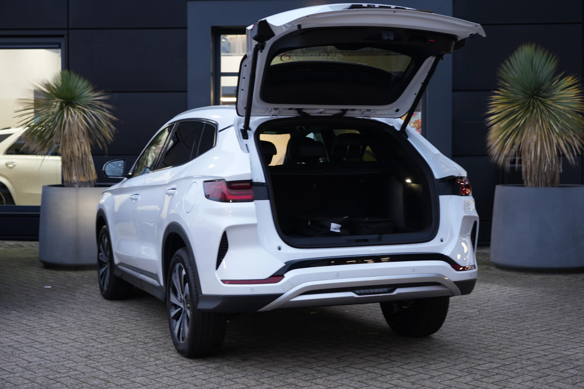 Hoofdafbeelding BYD SEAL U