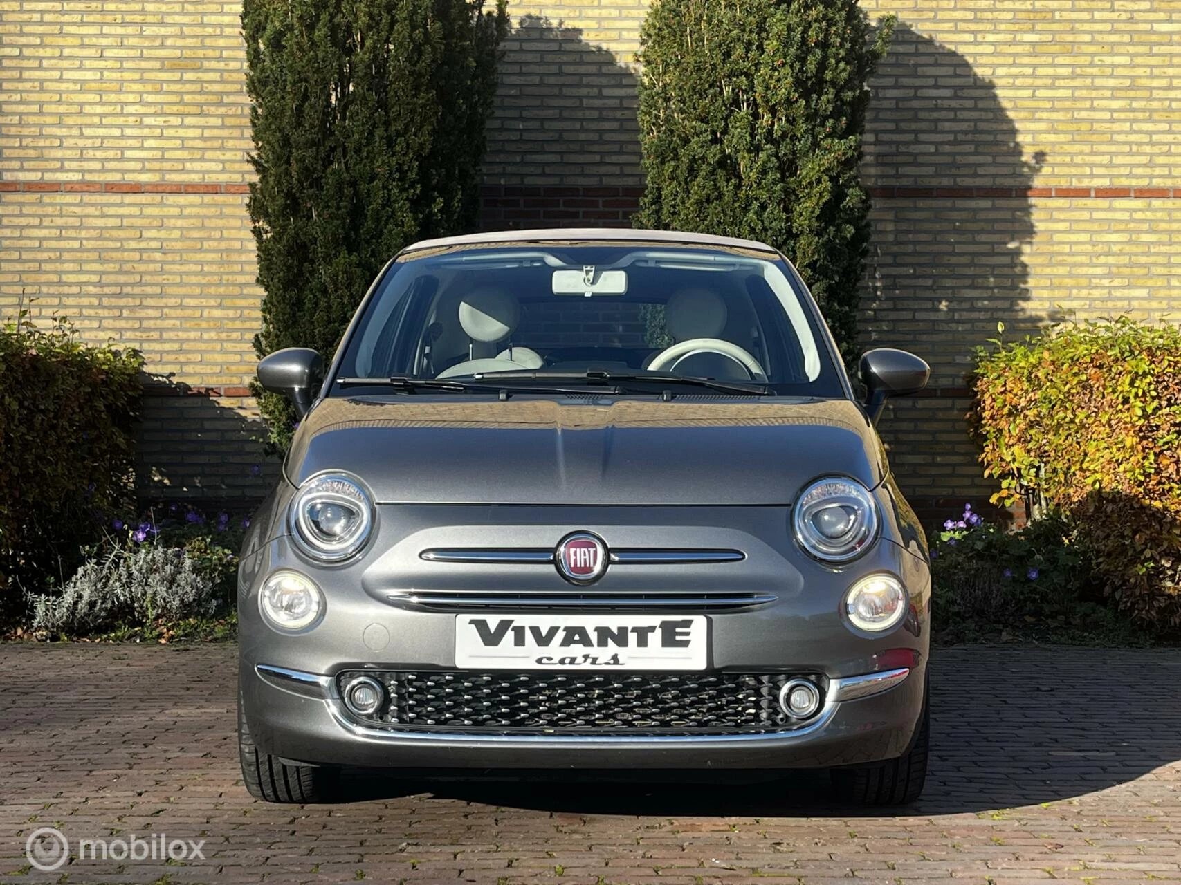 Hoofdafbeelding Fiat 500C