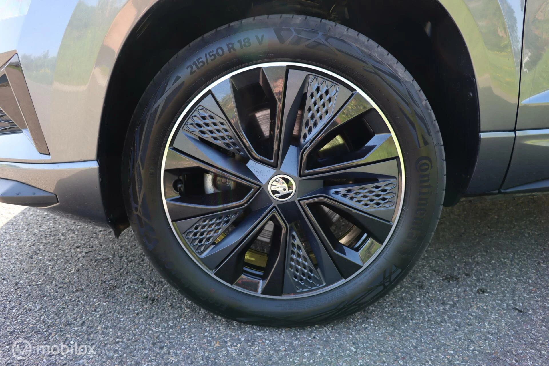 Hoofdafbeelding Škoda Karoq