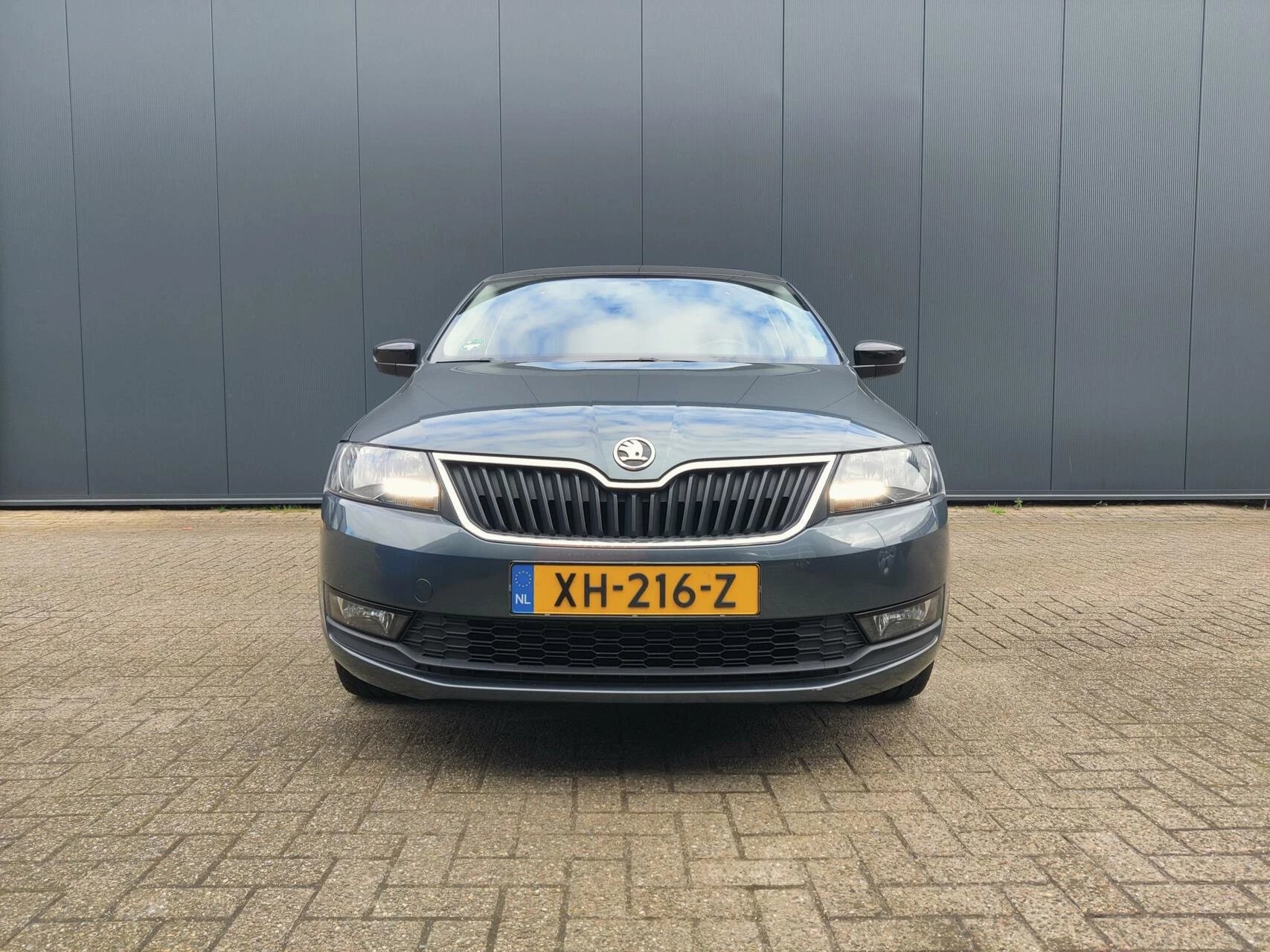 Hoofdafbeelding Škoda Rapid