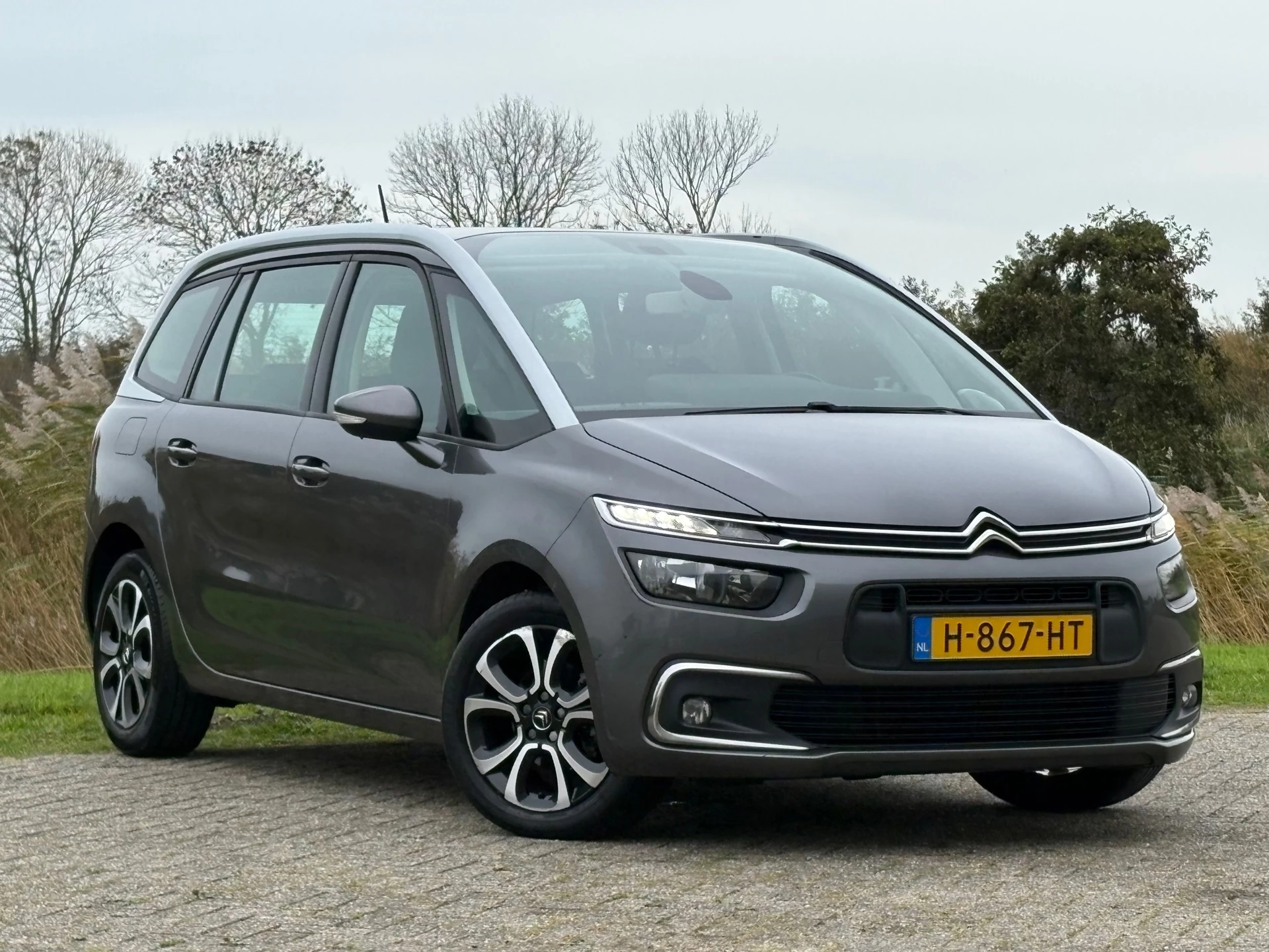 Hoofdafbeelding Citroën Grand C4 Spacetourer