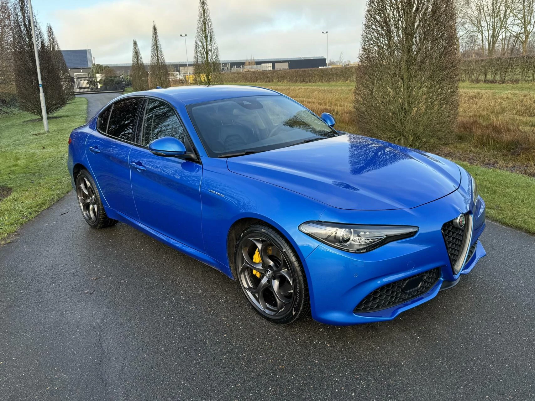 Hoofdafbeelding Alfa Romeo Giulia