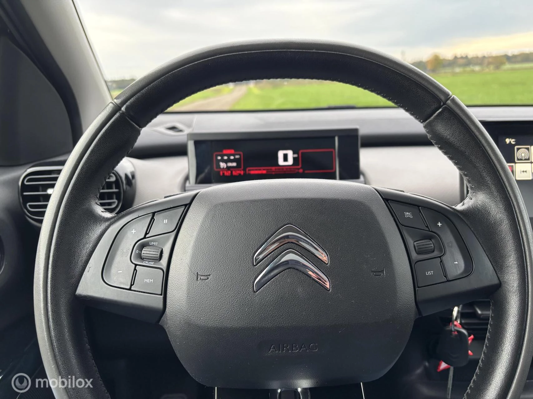 Hoofdafbeelding Citroën C4 Cactus