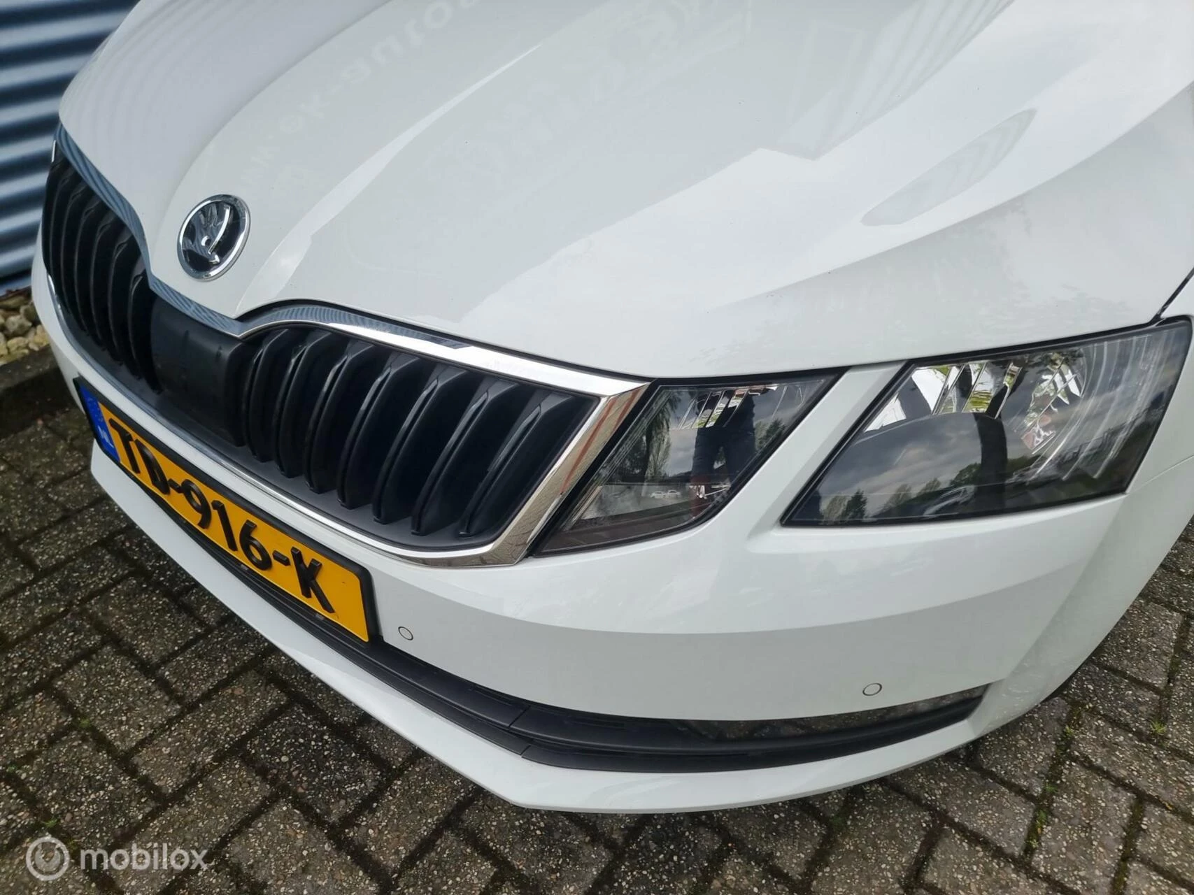 Hoofdafbeelding Škoda Octavia