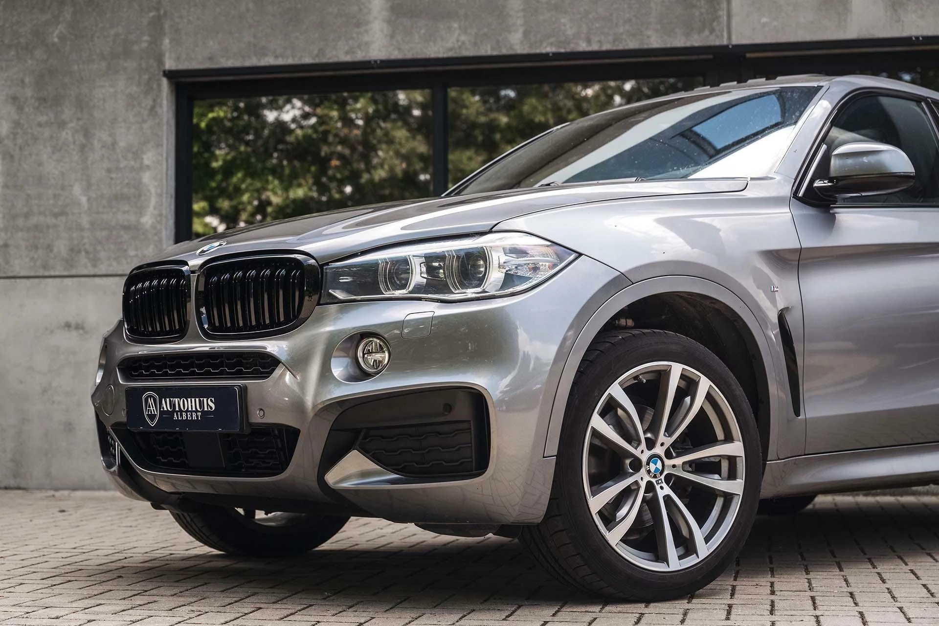 Hoofdafbeelding BMW X6