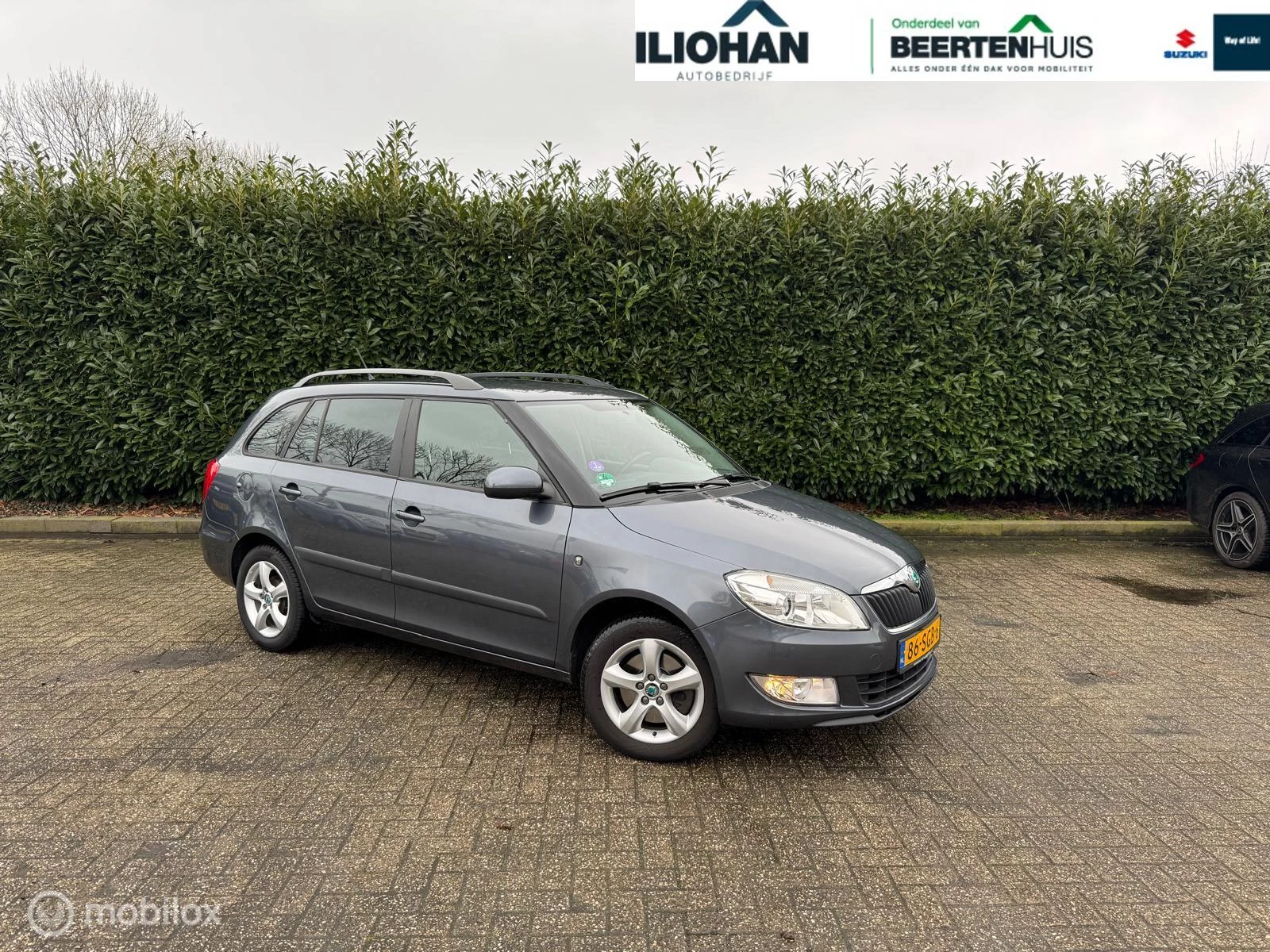 Hoofdafbeelding Škoda Fabia