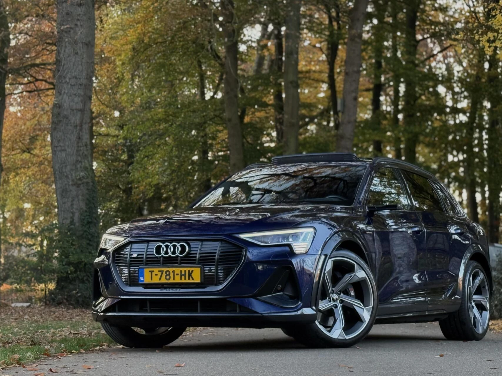 Hoofdafbeelding Audi e-tron
