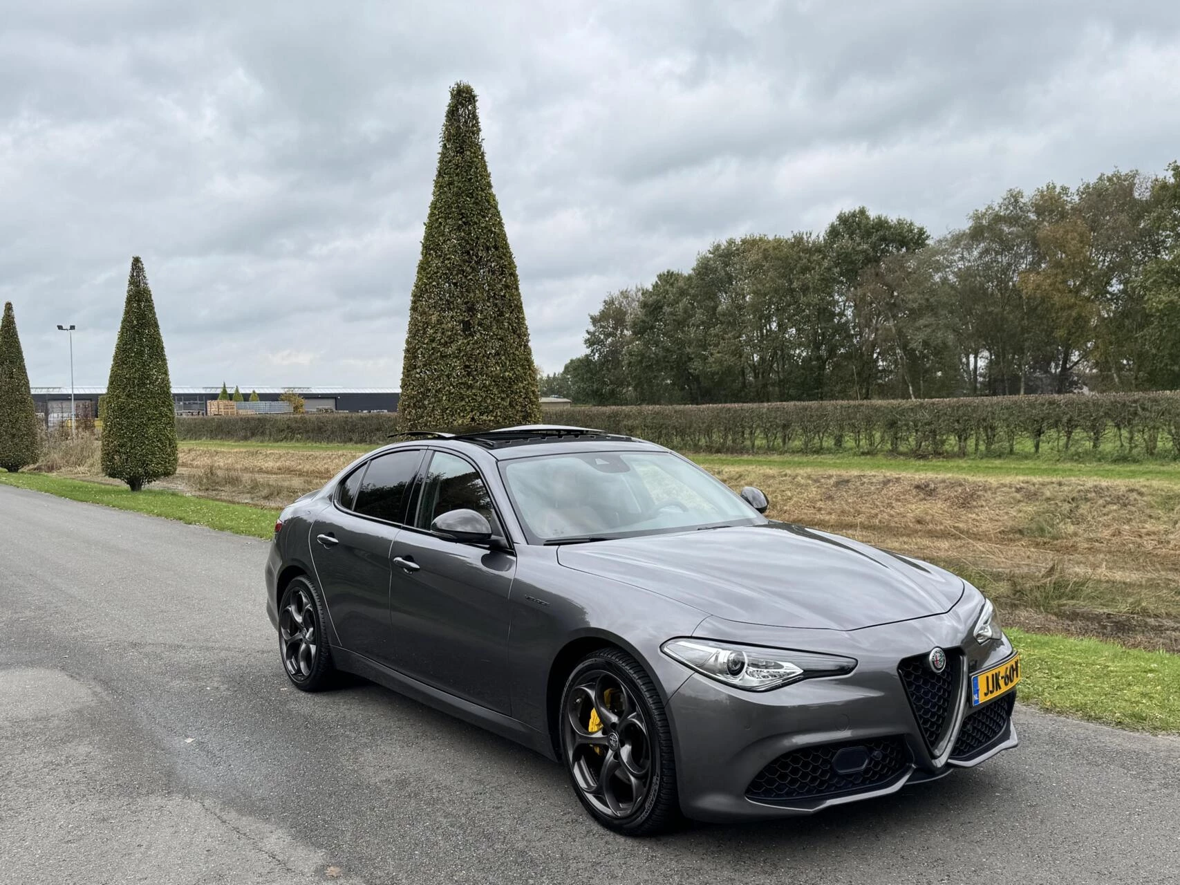 Hoofdafbeelding Alfa Romeo Giulia