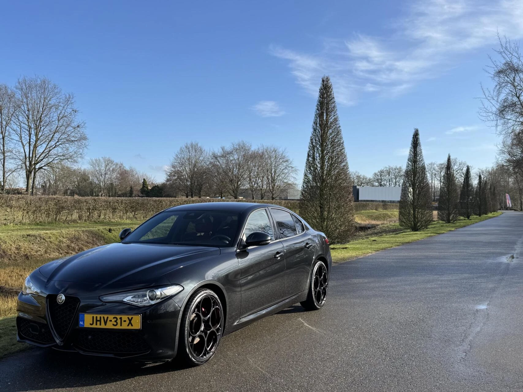 Hoofdafbeelding Alfa Romeo Giulia