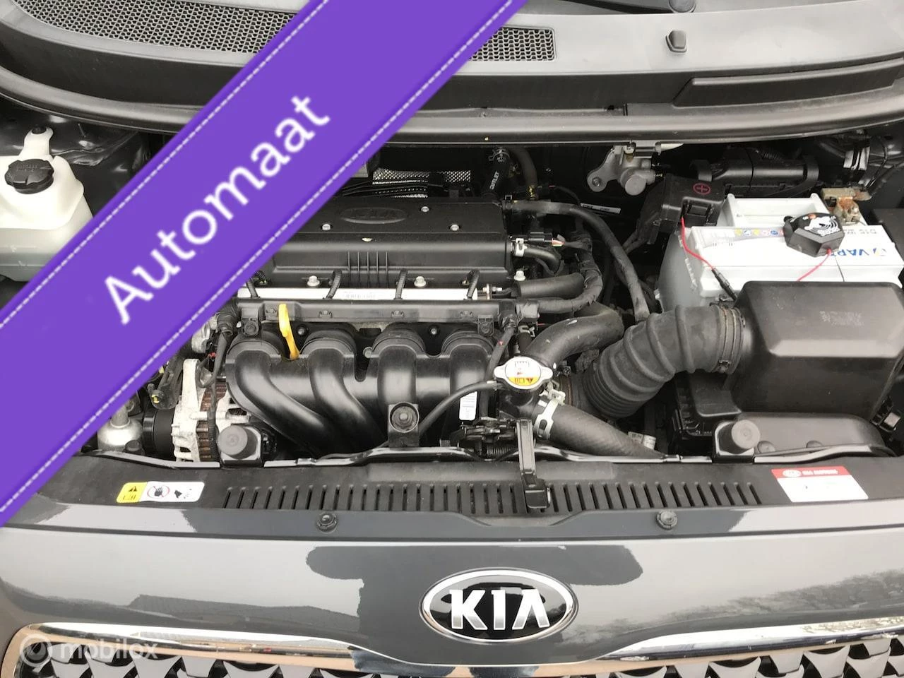 Hoofdafbeelding Kia Venga