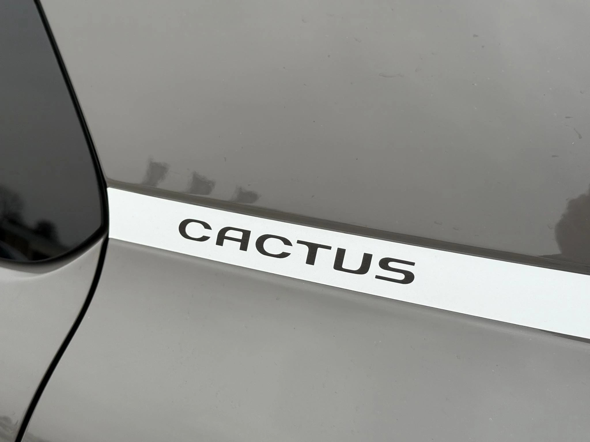 Hoofdafbeelding Citroën C4 Cactus